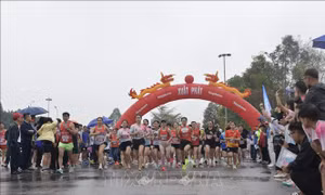 Trên 8.000 người tham gia Ngày chạy Olympic vì sức khỏe toàn dân 2026