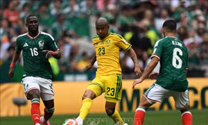 World Cup 2026: Đội tuyển Nam Phi nỗ lực vực dậy sau trận thua mở màn