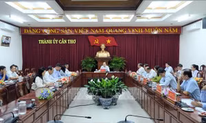 Cần Thơ thúc đẩy chương trình hỗ trợ đưa người lao động đi làm việc ở nước ngoài