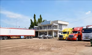 Không còn tình trạng ùn ứ container chở sầu riêng xếp hàng chờ lấy mẫu kiểm định tại bến xe Dầu Giây