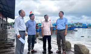Đảng viên là 'nòng cốt' trong chống khai thác IUU