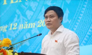 Ba lần phê bình, nhắc nhở Giám đốc Sở Nông nghiệp và Môi trường tỉnh Quảng Ngãi