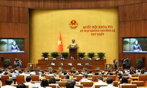  Đưa lao động chất lượng cao ra nước ngoài phải gắn với chiến lược nhân lực quốc gia