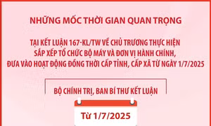 Những mốc thời gian quan trọng tại Kết luận 167-KL/TW
