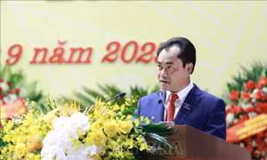 Ông Trịnh Việt Hùng được bổ nhiệm giữ chức Thứ trưởng Thường trực Bộ Nông nghiệp và Môi trường