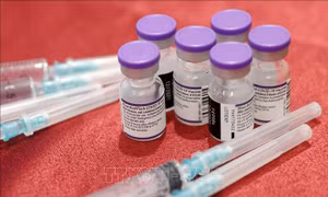 Xác định nguyên nhân gây tác dụng phụ của vaccine mRNA