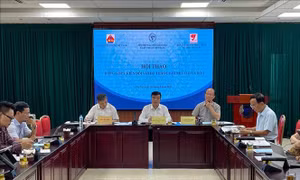 Bảo đảm ổn định, nâng cao hiệu quả thi hành pháp luật trong phát triển nhà ở