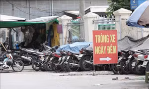 Hà Nội xử lý nhiều trường hợp trông giữ xe không phép, sai nội dung giấy phép