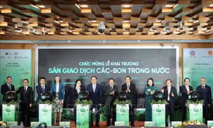 Khai trương Sàn giao dịch carbon trong nước