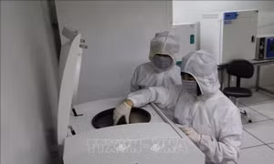 Đổi mới mạnh mẽ công tác nghiên cứu khoa học cơ bản