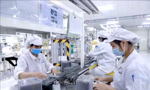 Kinh tế số - đòn bẩy chiến lược để doanh nghiệp phát triển bền vững