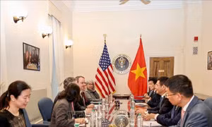 Việt Nam - Hoa Kỳ: Kết thúc vòng đàm phán trực tiếp lần thứ 5 Hiệp định Thương mại đối ứng