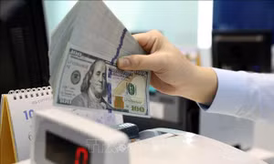 Tỷ giá USD chờ tín hiệu lạm phát