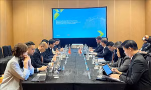 Việt Nam thúc đẩy kết nối mạng lưới điện trong ASEAN