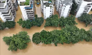 Trung Quốc ứng phó mưa lũ diện rộng