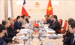 Làm sâu sắc hơn nữa quan hệ chính trị, tăng cường tin cậy giữa Việt Nam - Chile