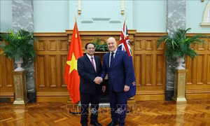 Còn dư địa để làm sâu sắc thêm quan hệ hợp tác song phương Việt Nam - New Zealand