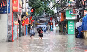 Hà Nội: Triển khai hộ đê, đảm bảo an toàn đê điều ứng phó với lũ