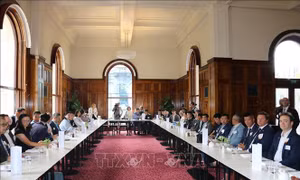 Kết nối, thúc đẩy các đối tác Australia tăng cường đầu tư vào Việt Nam