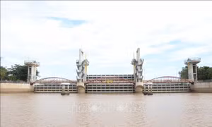 Vận hành đóng 2 cống Tha La và Trà Sư kiểm soát lũ vùng Tứ Giác Long Xuyên