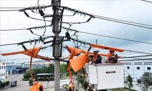 Điểm tin kinh tế Việt Nam nổi bật ngày 7/7/2026