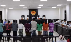 Cà Mau: Tuyên phạt 9 bị cáo trong đường dây buôn bán 43 phụ nữ