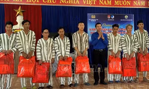Tư vấn việc làm cho phạm nhân chấp hành xong án phạt tù