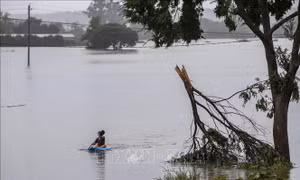 Bão lớn tàn phá Tây Australia, gần 70.000 hộ dân mất điện