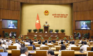 Kỳ họp thứ 7, Quốc hội khóa XV: Tạo thuận lợi cho việc tiếp cận thông tin của công dân