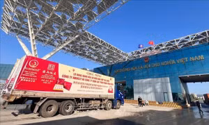 Xuất khẩu lô hàng tổ yến đầu tiên qua lối thông quan cầu Bắc Luân II