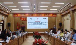 Chiến lược giúp cảng Hải Phòng thích ứng với xu hướng toàn cầu