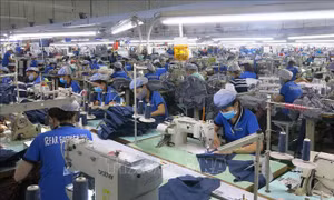 EC trình thông qua thỏa thuận FTA với Việt Nam