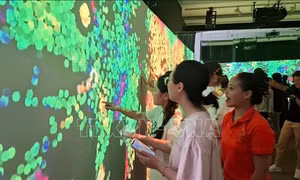 Triển lãm đa giác quan ‘Giao thời’ - khám phá những giá trị văn hóa Việt Nam