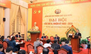 Đại hội Đảng bộ Văn phòng Chủ tịch nước lần thứ IX, nhiệm kỳ 2025-2030