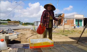 Đồng Tháp: Người dân Khu tái định cư An Lạc trông chờ nước sạch