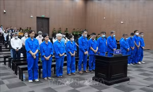 Vụ cựu Thứ trưởng Nguyễn Bá Hoan: Chiều 24/8, Hội đồng xét xử sẽ tuyên án