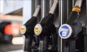OPEC nâng dự báo nhu cầu dầu mỏ thế giới trong trung và dài hạn