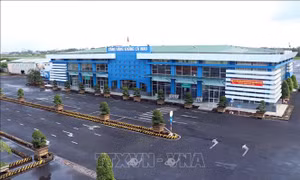 Dự kiến ngày 19/8 thi công mở rộng, nâng cấp Cảng hàng không Cà Mau