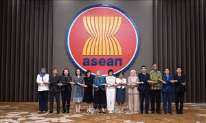 Việt Nam đồng chủ trì Cuộc họp Ủy ban Hợp tác chung ASEAN - New Zealand lần thứ 14