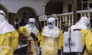 Dịch Ebola: Châu Phi thiết lập cơ chế điều phối chung