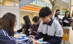 Hướng nghiệp sớm giúp học sinh lựa chọn ngành học đúng với năng lực và mong muốn