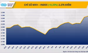 Thị trường hàng hóa nguyên liệu thế giới tiếp tục biến động