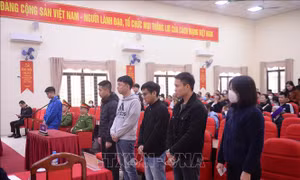 Phạt tù nhóm 'thổi giá' 30 tỷ đồng/m2 đất đấu giá ở Sóc Sơn (Hà Nội)