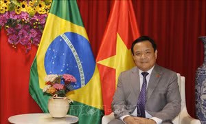 Các nước ASEAN thúc đẩy hợp tác với thành phố Belem, bang Para của Brazil