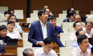 Đồng ý khởi tố, bắt tạm giam, tạm đình chỉ nhiệm vụ đại biểu Quốc hội đối với ông Trần Văn Thức