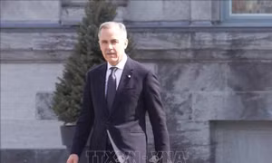 Đảng Tự do của Thủ tướng Mark Carney giành đa số tuyệt đối tại Quốc hội Canada
