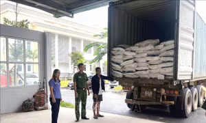 Xử lý nghiêm các đối tượng vi phạm pháp luật