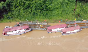 Vận hành lại phà quân sự ở khu vực cầu Phong Châu