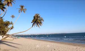 Mũi Né khẳng định vị thế điểm đến lướt ván diều hàng đầu châu Á