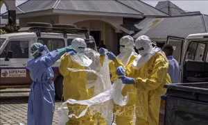 Dịch Ebola: WHO và CDC châu Phi công bố kế hoạch lớn